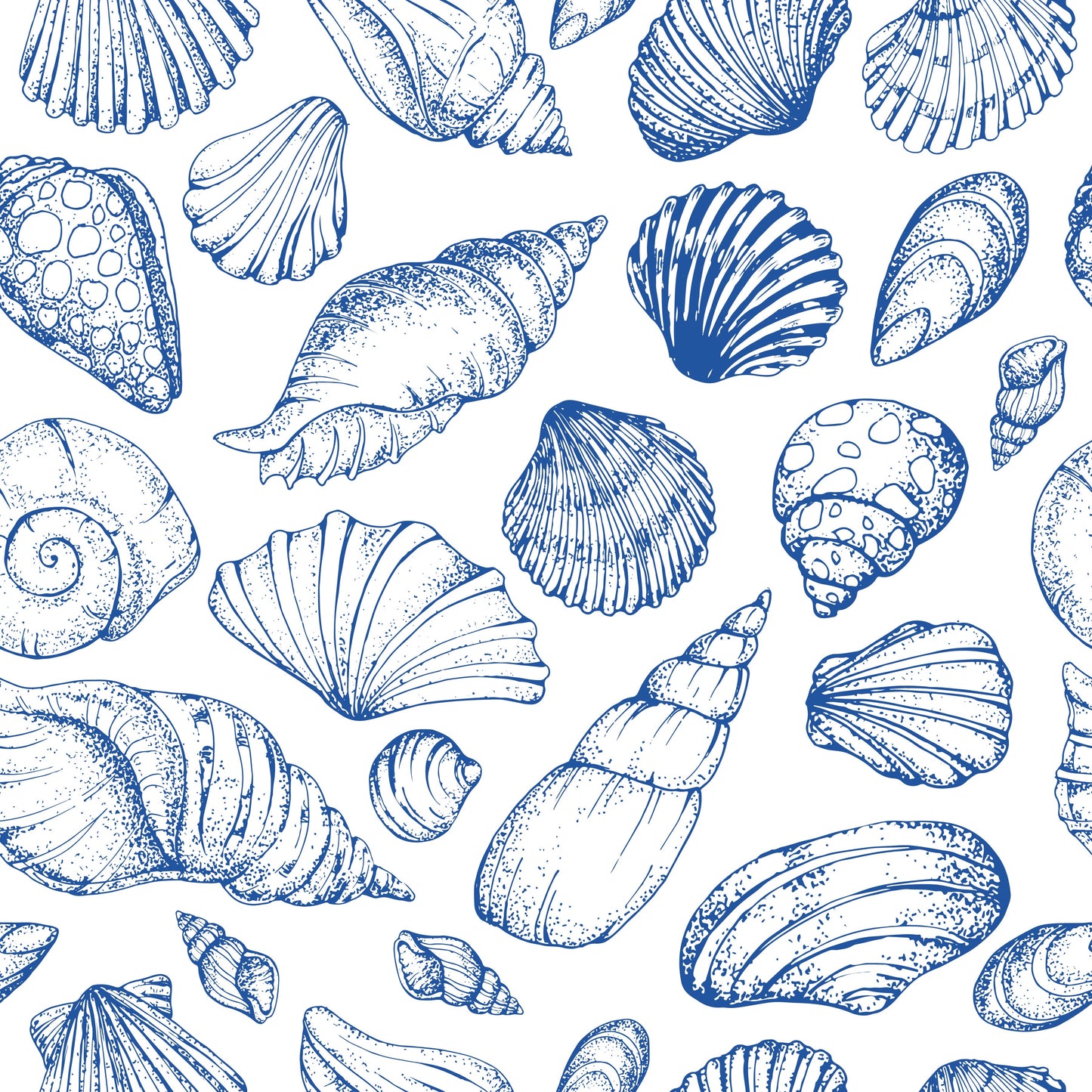 Seashell