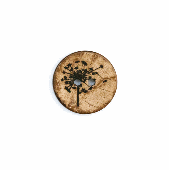 Set Kokosknopf Pusteblume 20mm