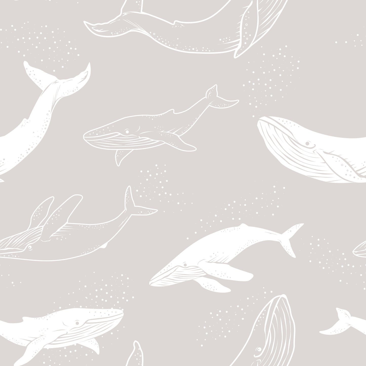 Whale Song Grey