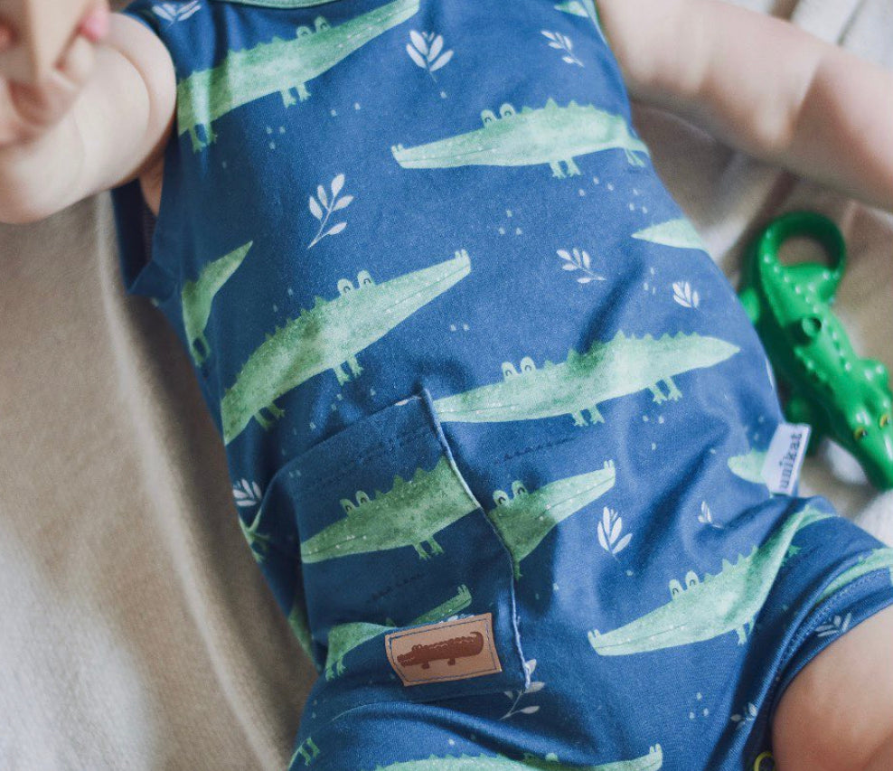 Alligators Adventure