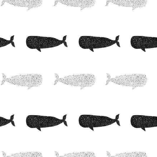 Reise durch den Ozean