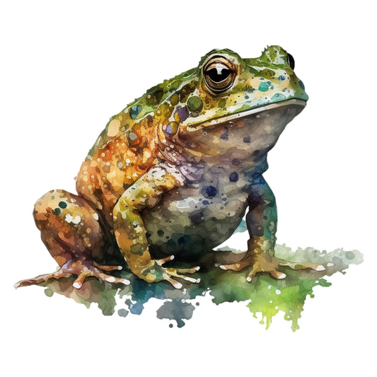 Bügelbild Frosch
