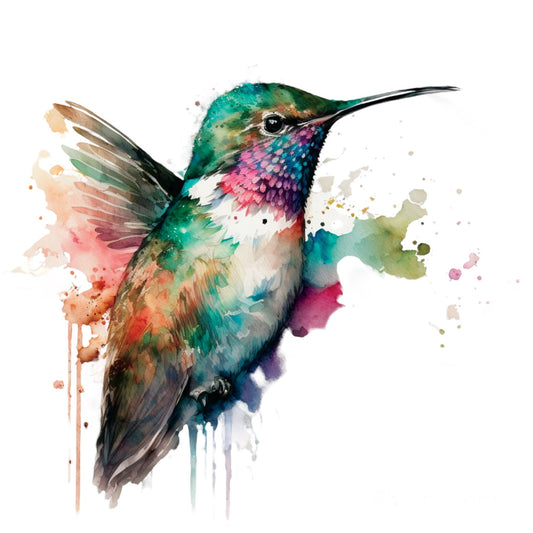 Bügelbild Kolibri